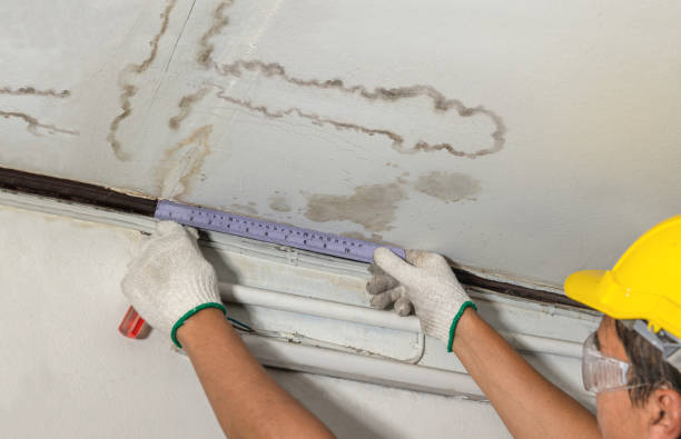 Affordable Water Damage Repair solutions in Glen Dale, WV